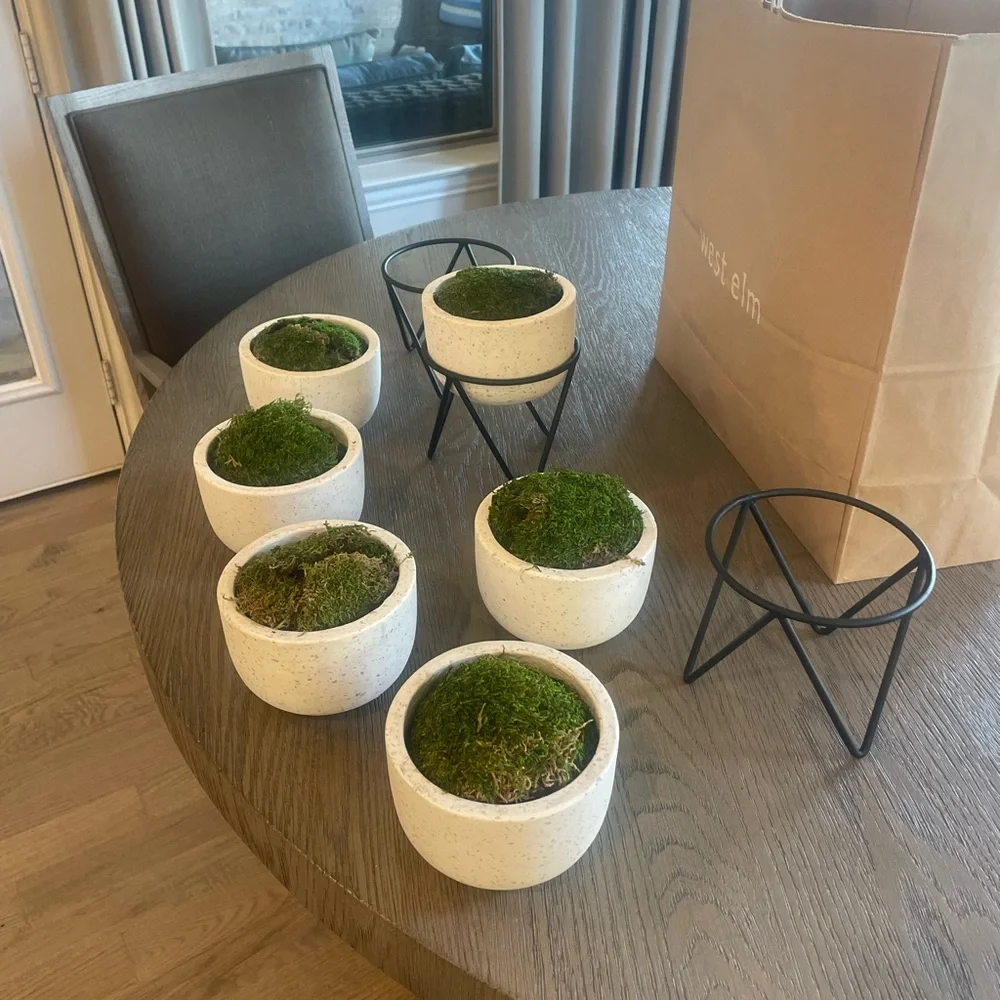 West Elm Iris Planters with Stand-New